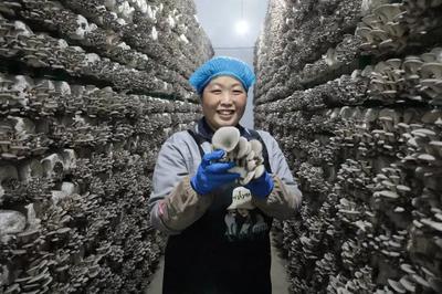 走在前 開新局！闖出綠色循環(huán)'大村模式'，引領(lǐng)食用農(nóng)產(chǎn)品高質(zhì)量發(fā)展