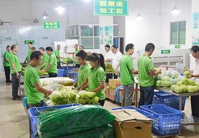 寮步蔬菜配送公司 為工廠食堂提供平價蔬菜及食用農(nóng)產(chǎn)品配送服務(wù)