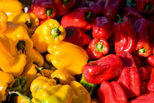 安徽食藥監(jiān)局多措并舉，扎實(shí)推進(jìn)食用農(nóng)產(chǎn)品交易市場(chǎng)食品安全規(guī)范化建設(shè)