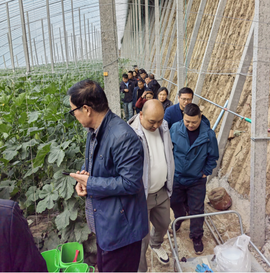 賦能農(nóng)業(yè)合作社，護(hù)航舌尖安全——贊華集團(tuán)助力許昌建安區(qū)農(nóng)產(chǎn)品質(zhì)量提升培訓(xùn)項(xiàng)目圓滿結(jié)班